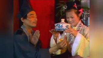 国产老太太视频